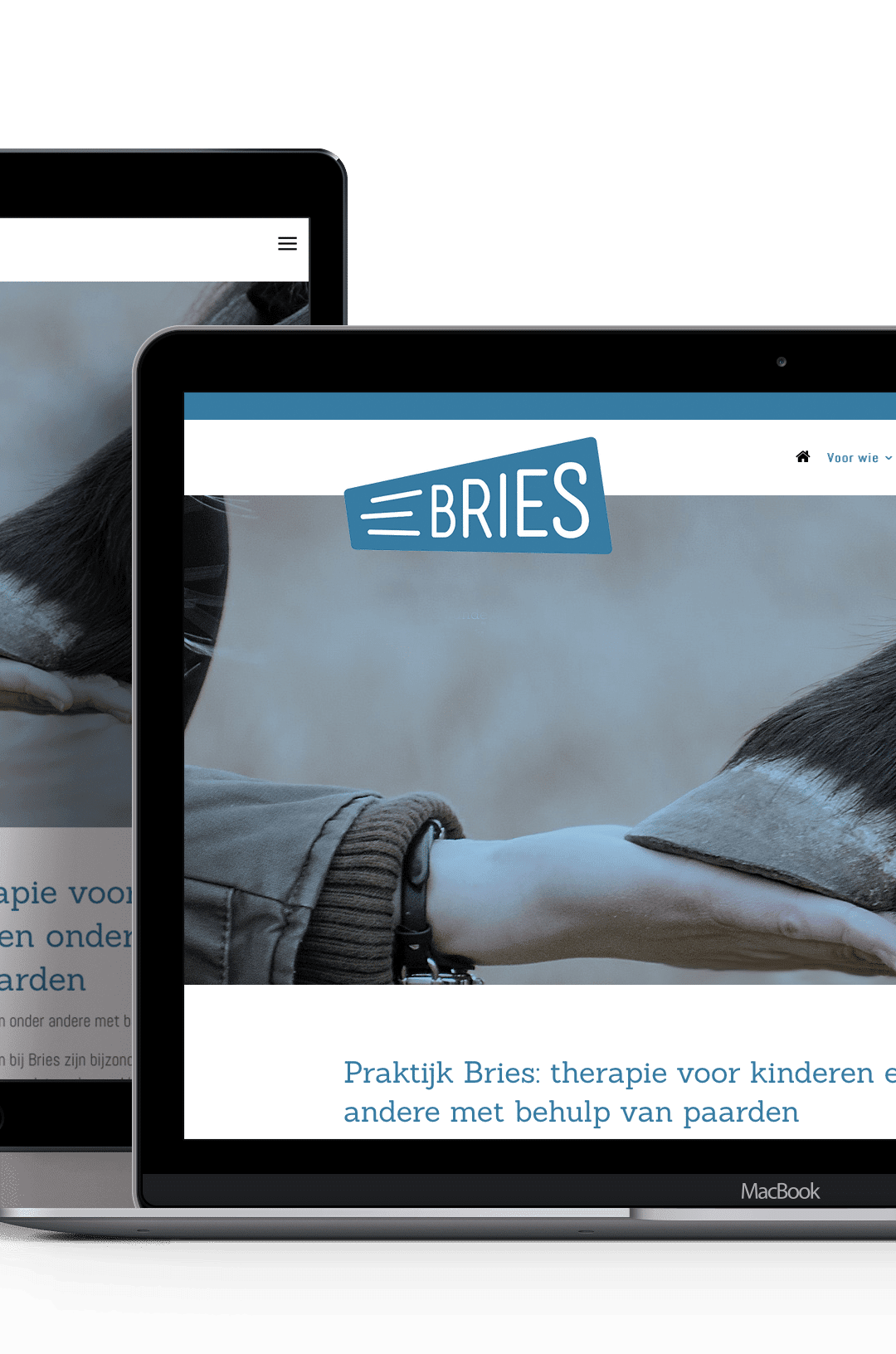 Website Praktijk Bries Veenendaal