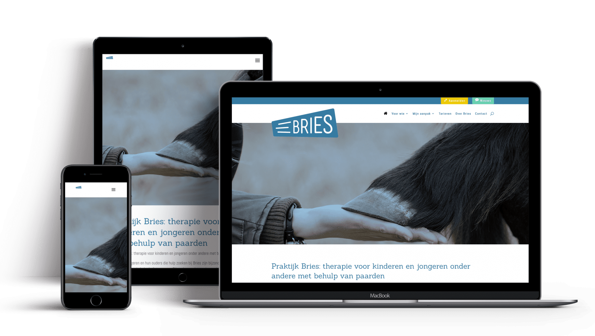 Website Praktijk Bries Veenendaal