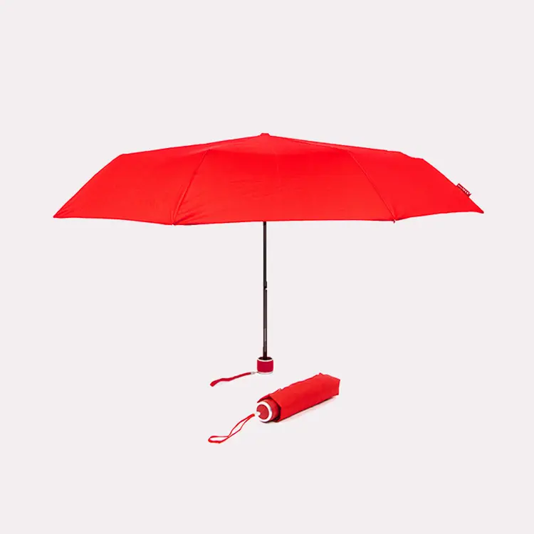 Paraplu budget